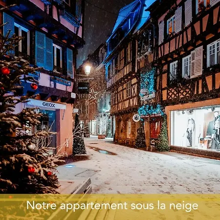 L'atelier Du Photographe - Free Parking - Hypercentre Apartment Colmar